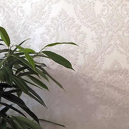 Charming Palace Santa Fosca 酒店